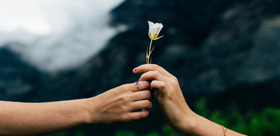 The white rose for love